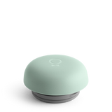 Mint Chip